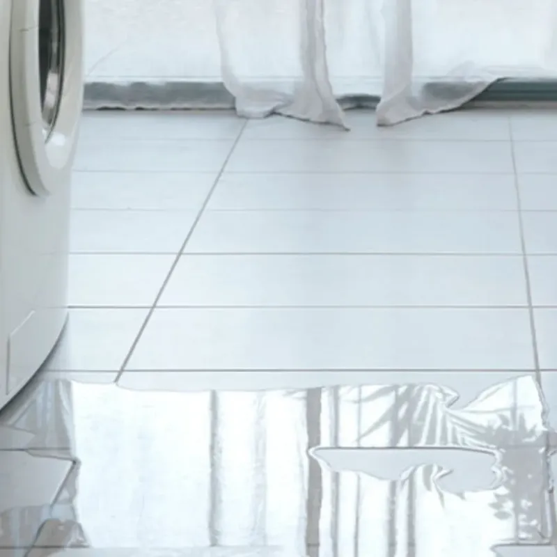Appliance Leak Cleanup in Jackson County, AL