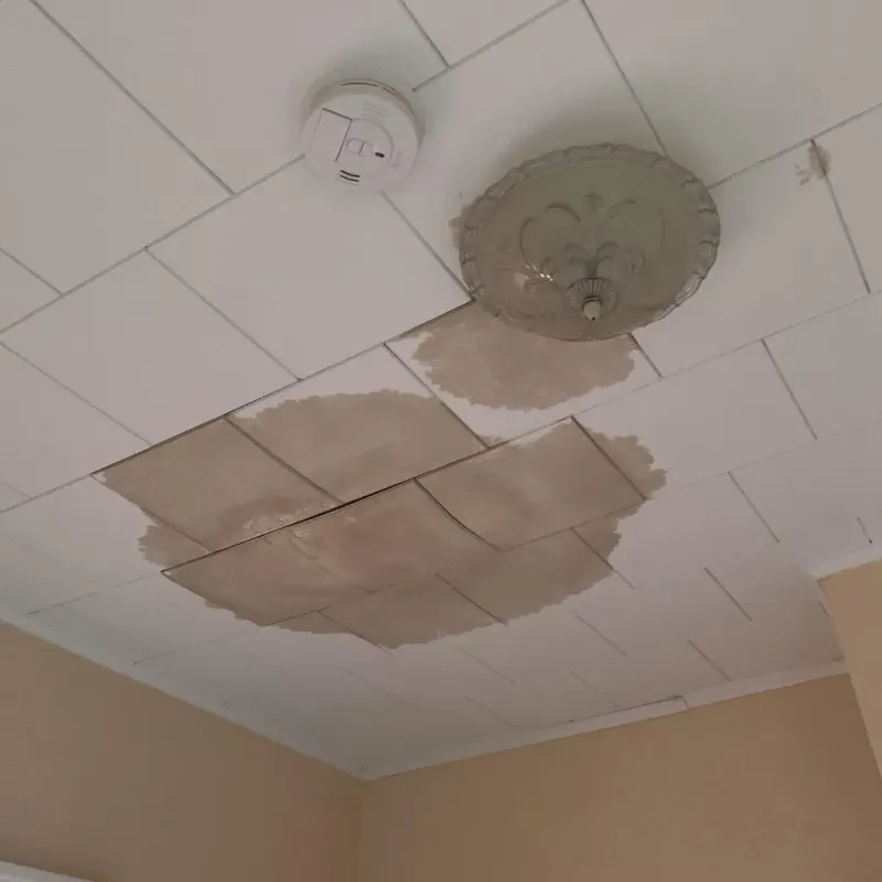 Ceiling Water Damage Repair in Jackson County, AL