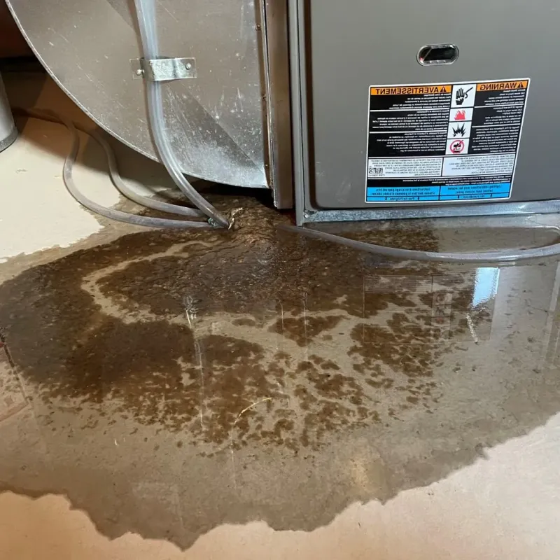 Pipe Burst and Leak Restoration in Jackson County, AL