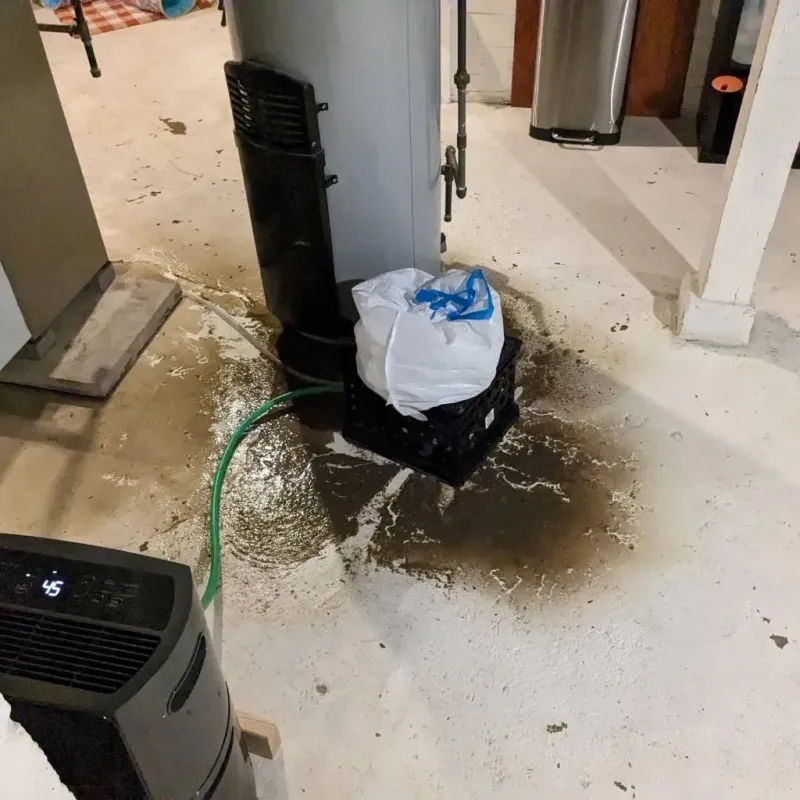 Sewage Backup Cleanup Service in Jackson County, AL